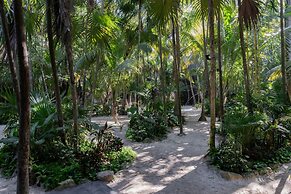 UMi Tulum
