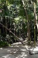 UMi Tulum