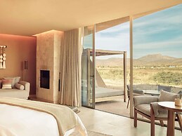 Banyan Tree Veya Valle De Guadalupe