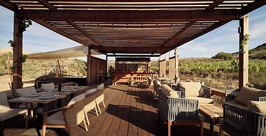 Banyan Tree Veya Valle De Guadalupe