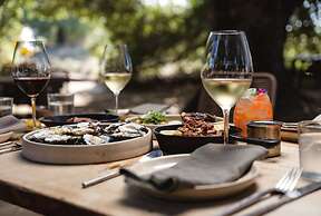 Banyan Tree Veya Valle De Guadalupe