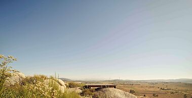 Banyan Tree Veya Valle De Guadalupe