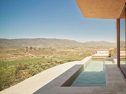 Banyan Tree Veya Valle De Guadalupe