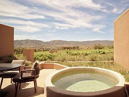Banyan Tree Veya Valle De Guadalupe