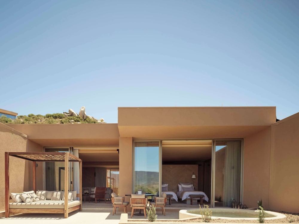 Banyan Tree Veya Valle De Guadalupe