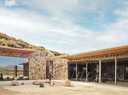 Banyan Tree Veya Valle De Guadalupe