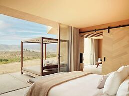 Banyan Tree Veya Valle De Guadalupe