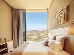 Banyan Tree Veya Valle De Guadalupe