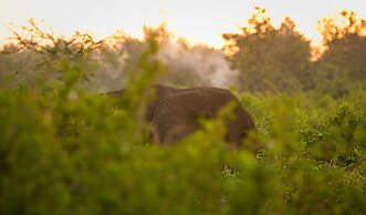 Aardvark Safari Lodge
