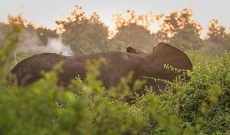 Aardvark Safari Lodge