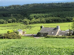 Ty Newydd