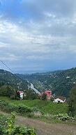 Kalivi Suit Bungalov
