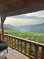 Kalivi Suit Bungalov