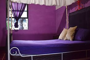 Mi Casita Zona 4