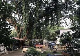Ecohotel Ambrosia Lodge