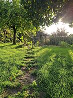 Quinta de São Pedro de Vir-a-Corça