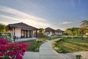 Mocean Beach Resort