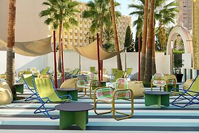 tent Mojito Suites