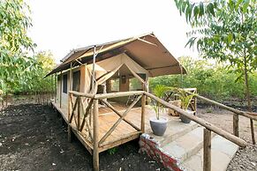 Kandisi
