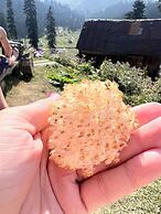 Bakhmaro