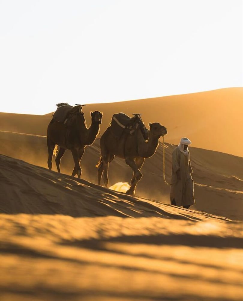 Lecherif Desert Luxury Camp
