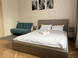 Luxurious apartment