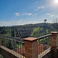 La Vigna di Ranco Ltd N3352
