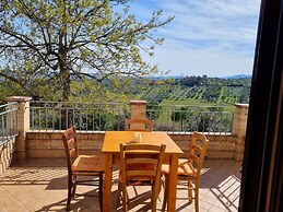 La Vigna di Ranco Ltd Num3353
