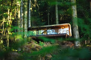 Forest Lodges