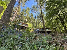 Forest Lodges