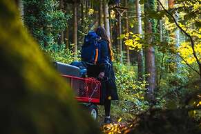 Forest Lodges