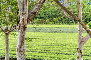 Dream Field