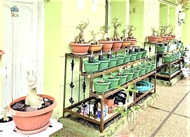 Hotel O Wisma Aliyah Near Sidrap
