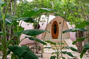 Room-unique Jungle Dome 2 Queen Beds