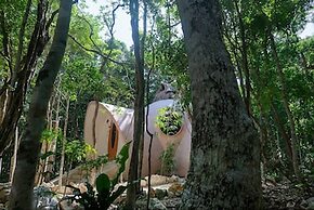Room-unique Jungle Dome 2 Queen Beds