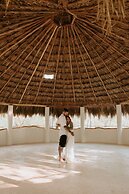 Unique Jungle Dome Ha With Kitchen