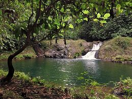 Ocean Forest Ecolodge Retreat