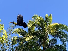 Ocean Forest Ecolodge Retreat