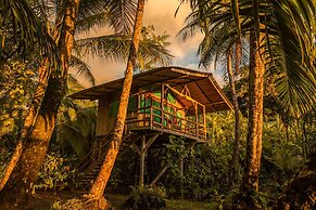 Ocean Forest Ecolodge Retreat