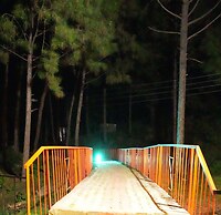 Pine Hideout