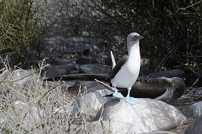 Galapagos and Beyond