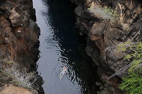 Galapagos and Beyond