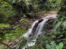 Veragua Rainforest Lodge