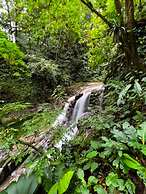 Veragua Rainforest Lodge