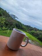 Cabinas Selva Verde