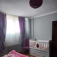 Grand Appartement 2-1