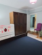 Grand Appartement 2-1