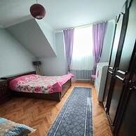 Grand Appartement 2-1