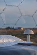 Aurora Igloo South