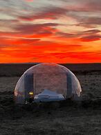 Aurora Igloo South